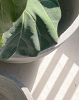 Concrete Pots | Grey