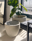 Concrete Pots | Grey
