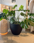 Concrete Pots | Black