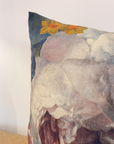 Scatter Cushions 12