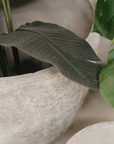 Concrete Pots | Grey