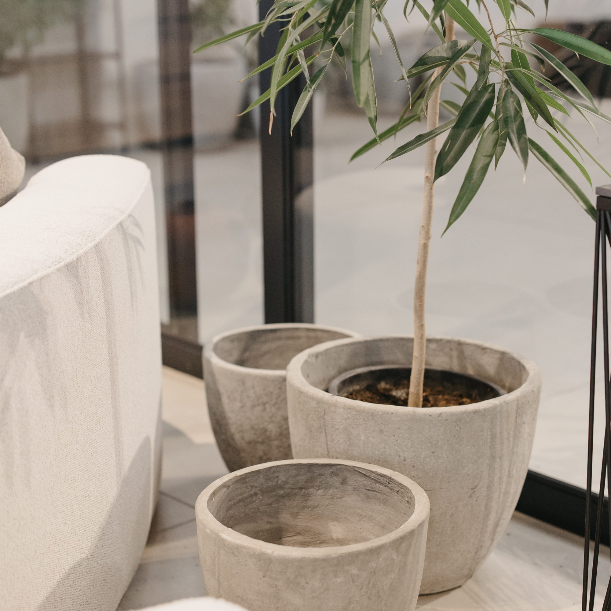 CONCRETE POTS